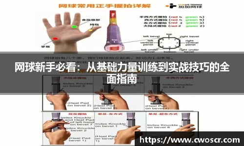 网球新手必看：从基础力量训练到实战技巧的全面指南